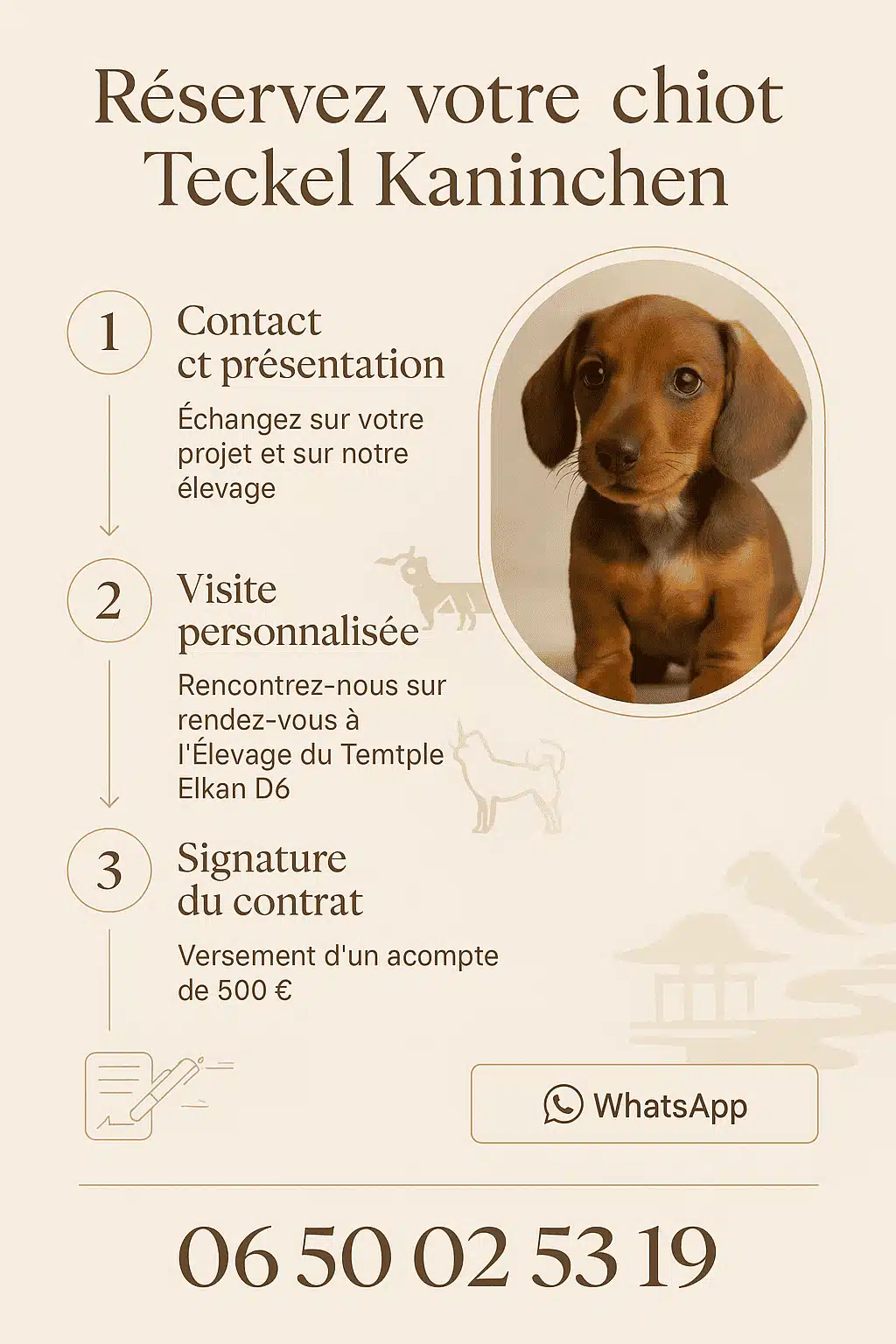 réserver un teckel