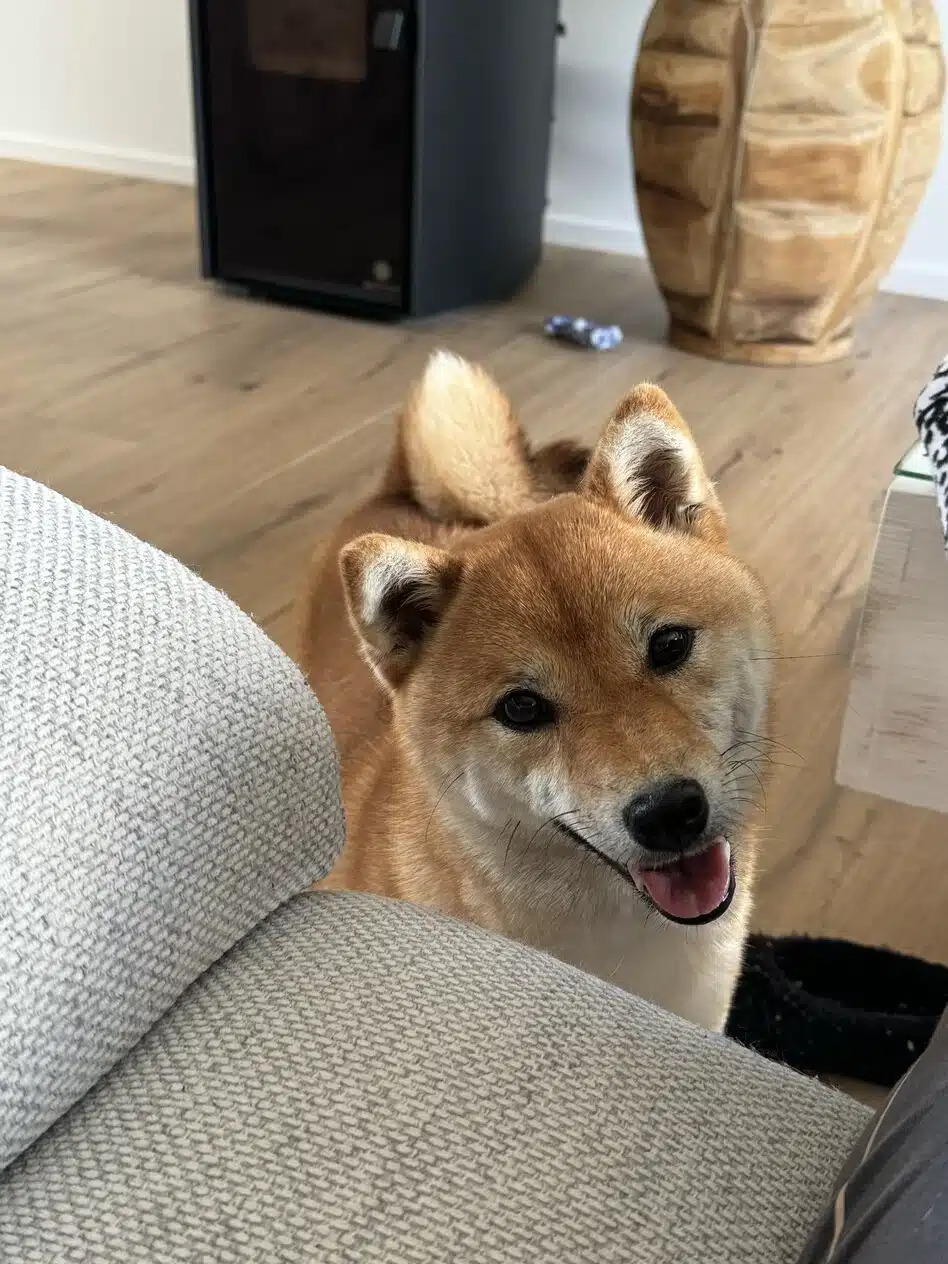 Kiro